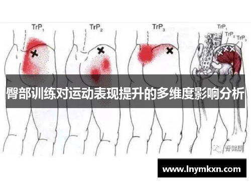 臀部训练对运动表现提升的多维度影响分析